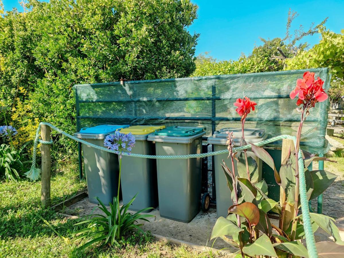 ויאנה דו קסטלו Casa Do Casal - Country House With Swimming Pool מראה חיצוני תמונה